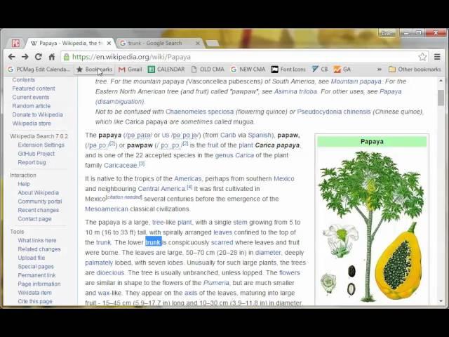 Chrome Tips: How to Search From Inside a Web Page