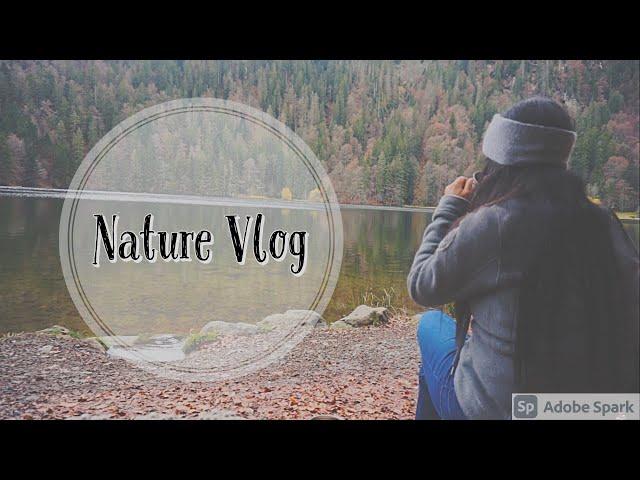 A small hiking trip to the Blackforest | NatureVlog | Feldsee | Germanyvlog | Episode 5