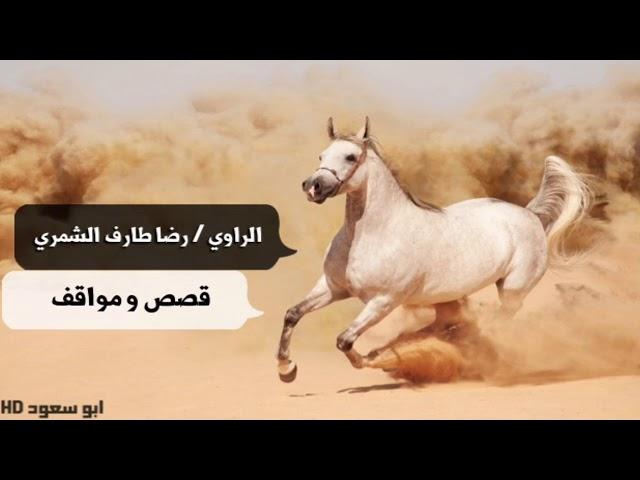 الراوي رضا طارف الشمري ثلاث ساعات من القصص والمواقف