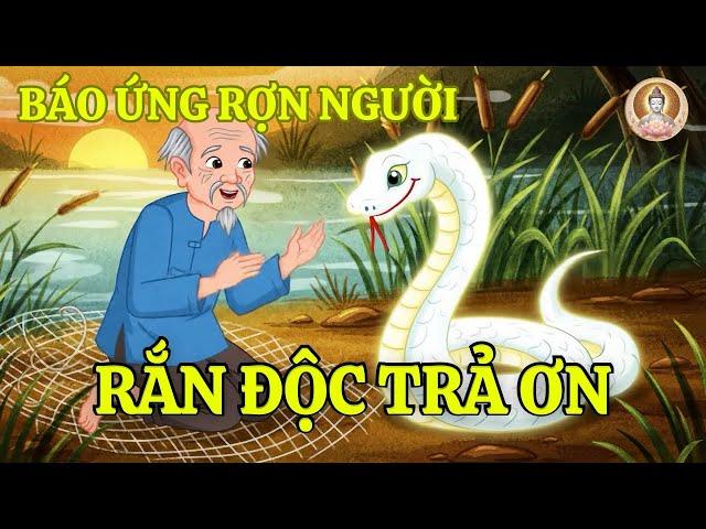 Rắn Độc Trả Ơn Người Cứu Mạng – Cả Làng Thoát Nạn Trong Gang Tấc | Hoạt Hình Nhân Quả Báo Ứng