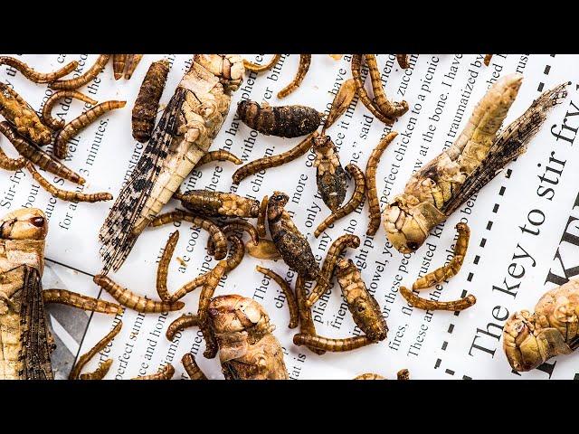Asian insect food - Eating insects in Asian street Market