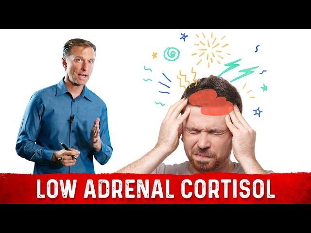 Adrenal Insufficiency and Low Cortisol: Symptoms, Causes & Solutions – Dr.Berg