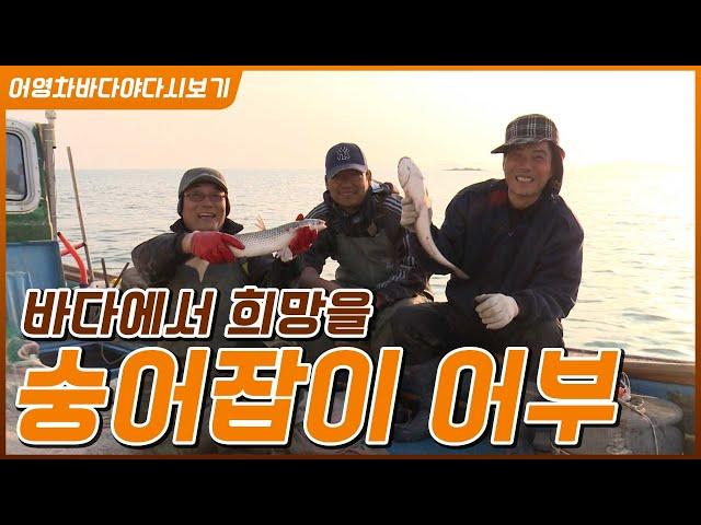 지금은 숭어시대! 바다에서 희망을 건져올리는 숭어잡이 어부