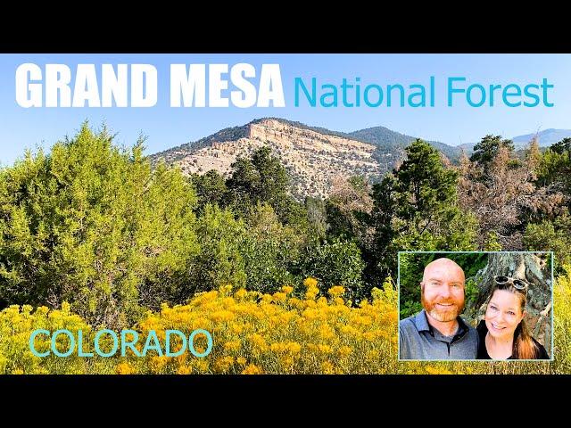 Grand Mesa National Forest | Wildlife, Paragliders, and More on the Worlds Largest Mesa in Colorado