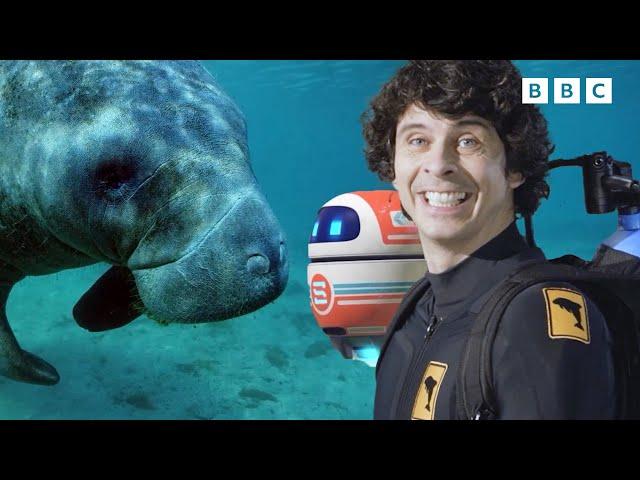 Andy and the Manatees | Andy's Global Adventures | Andy's Amazing Adventures