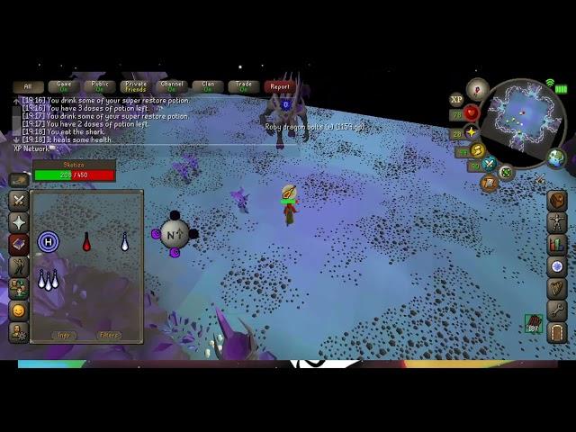 OSRS Skotizo Kill 1 Defence Pure Guide