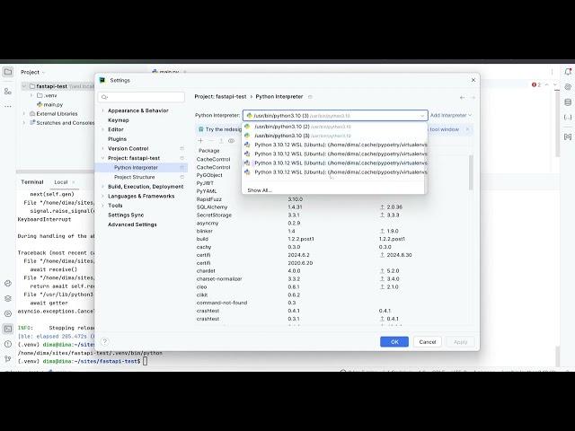 Добавляем окружение PyCharm для FastAPI проекта