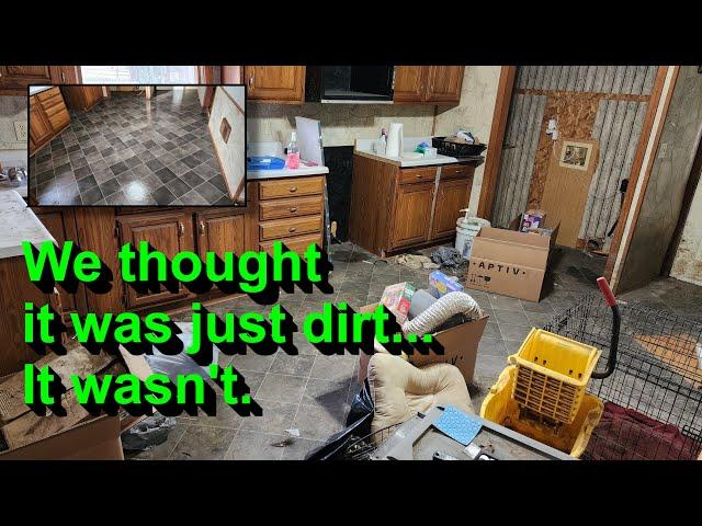 Cleaning a house that was DESTROYED by a pet hoarder