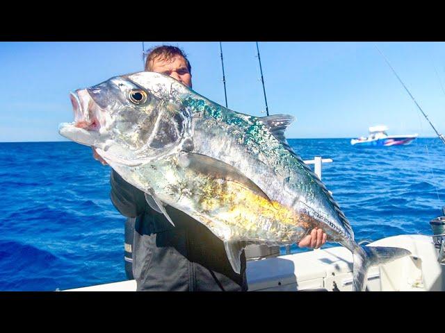 EPIC Offshore Fishing For Monster Fish! (45 Miles Off Tampa Bay)