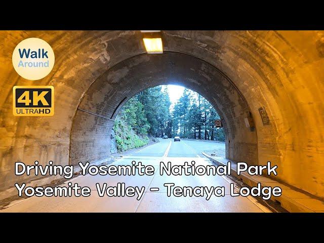 【4K60】 Driving - Yosemite National Park: Yosemite Valley - Tenaya Lodge #1