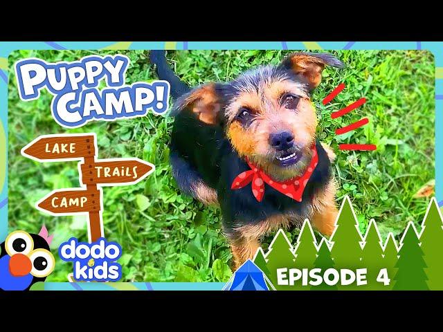 Sleepaway Camp Surprises Kids With Puppies?! | Dodo Kids | Dog Days Of Summer Camp | Episode 4