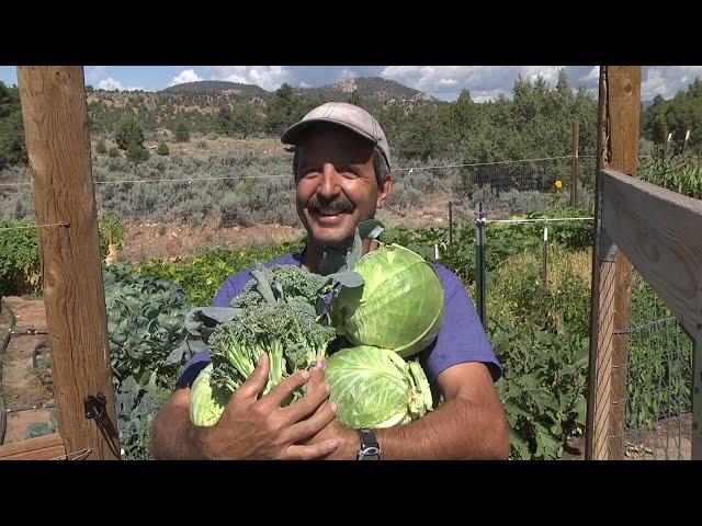 Let Food Be thy Medicine: Best Fall Storage tips for garden veggies