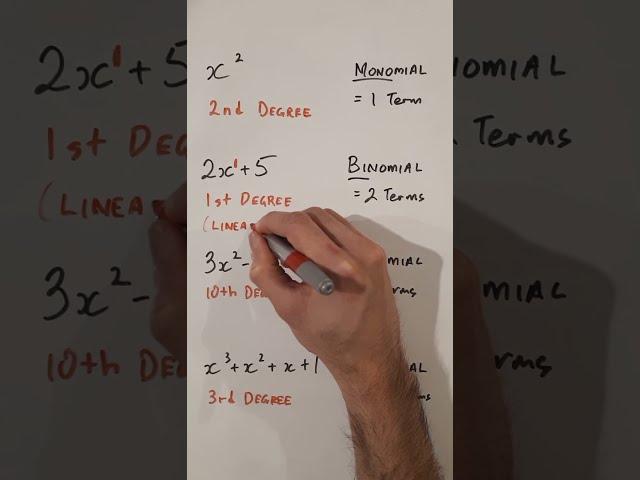 What is a Polynomial and How do we Name Them?