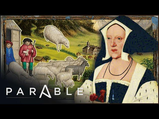 Parable's Insight into Tudor Monastery Farm's Sheep-Herding Techniques