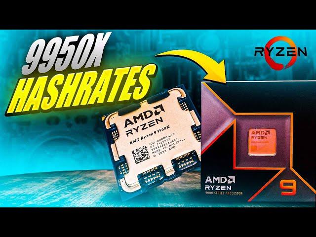 AMDs Ryzen 9 9950x Flagship Is Interesting - 9950x Hashrates