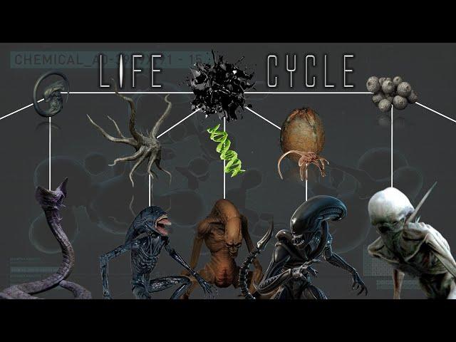 All 10 Different Life Cycles of the Alien Xenomorphs