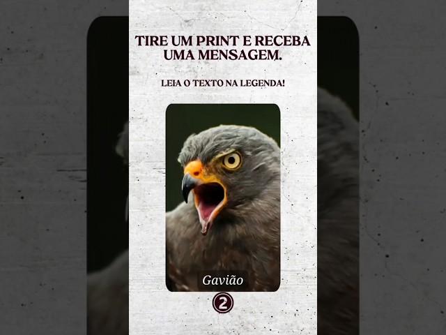 TIRE UM PRINT E RECEBA UMA MENSAGEM