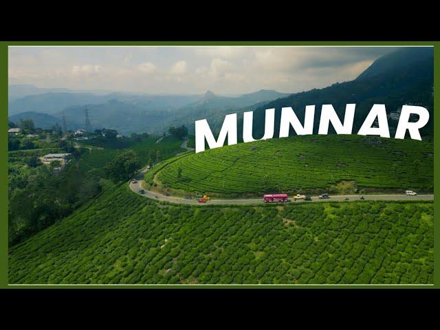 Munnar Kerala || Day 15 south Indian Odyssey