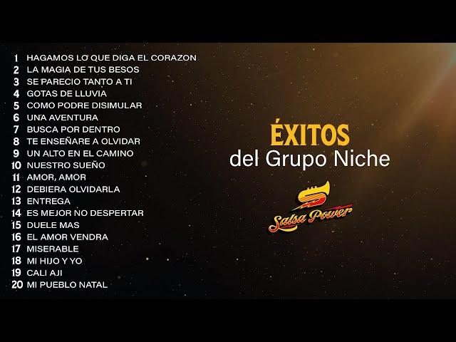 Éxitos Del Grupo Niche - Salsa Power