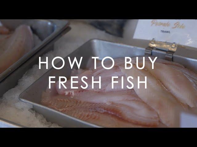 How to Buy Fresh Fish | a Fishmonger's Guide