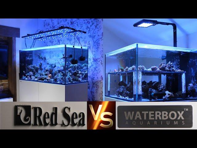 Red Sea Reefer vs Waterbox Aquariums: Which Is Better?