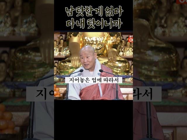내 인생은 왜 이래? 남 탓 할게 하나도 없다 #묘허스님 #업보 #업장소멸