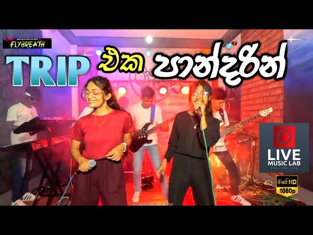 උණු උණුවේ අලුත්ම එක | Trip Eka Pandarin | Flybreath Music Band | Live Music Lab