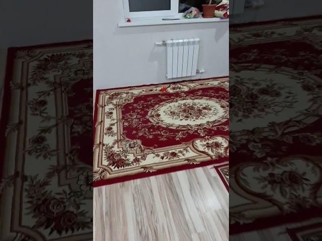 Линолеум или ламинат или плитка на тёплый пол- что лучше, что выбрать? Warm floor