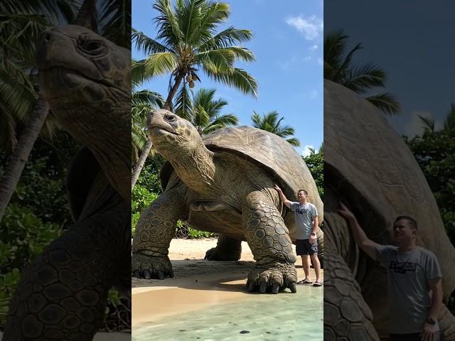 The Day I Met the World's Largest Turtle – You Won’t Believe Its Size!