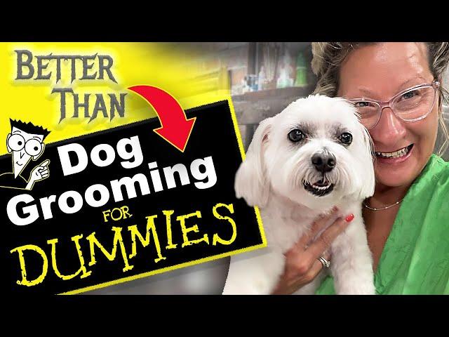 Dog Grooming Steps for Dummies