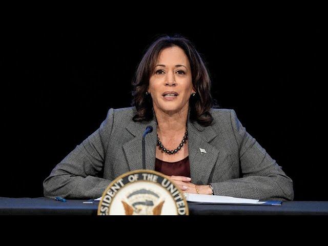 ‘Pathetic and insulting’: Kamala Harris asks for more money to cover campaign debt