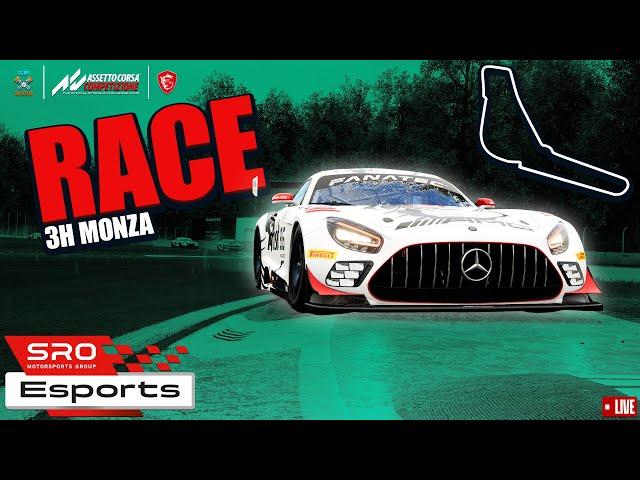 We are SRO CHAMPIONS! | 3h Monza | Race | SRO ESPORTS 2024