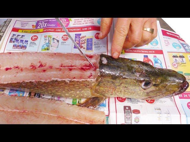 How to Fillet a Pike (and Get 5 Boneless Fillets!)