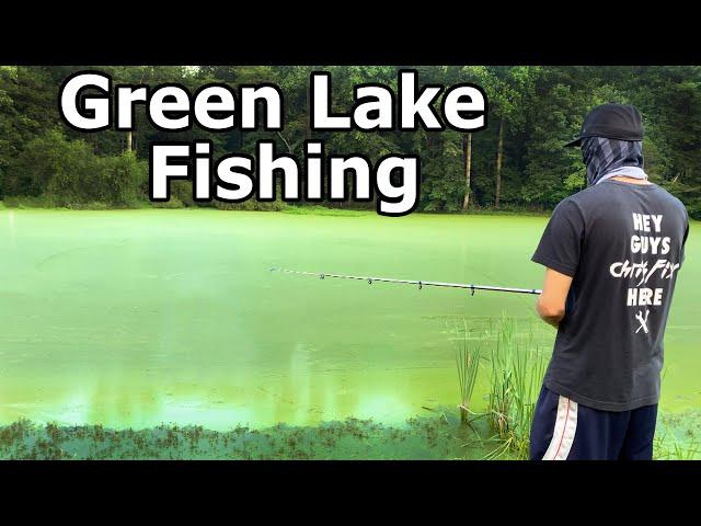 How to Catch Fish in a Completely GREEN Lake