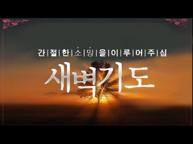 새벽기도 (간절한 소망을 이루어주심)