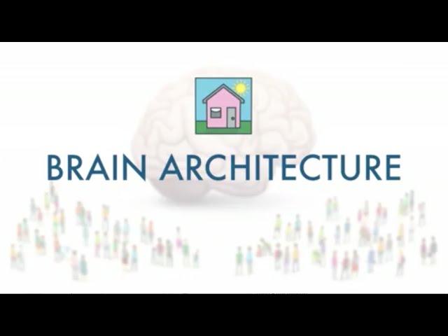 Brain Architecture