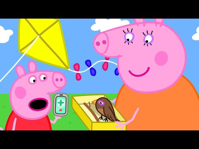 The Big Vet Rescue!  | Peppa Pig Official Full Episodes