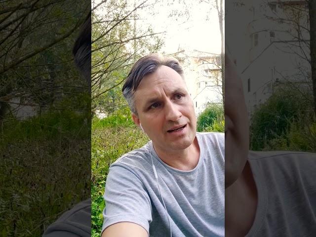 Не давайте кошке влажный корм эконом и премиум класса в качестве добавки к хорошему корму