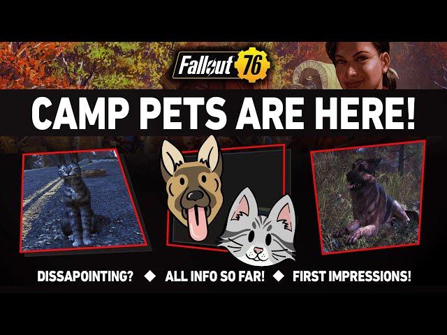 NEW CAMP PETS Are NOT What You think! | Fallout 76 Latest News