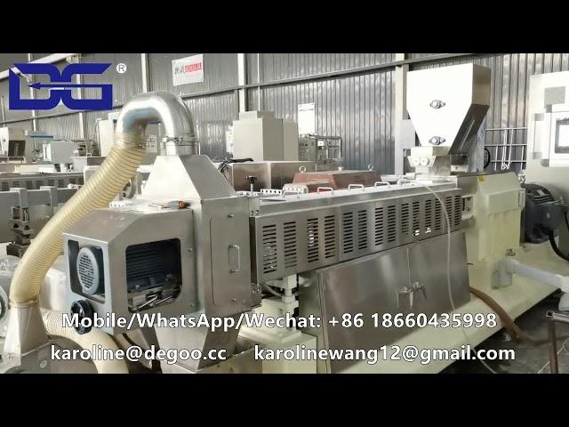 FRK Fortified Rice Machine Nutritional Rice Extruder Twin Screw Extrusion Machine Plant by DG