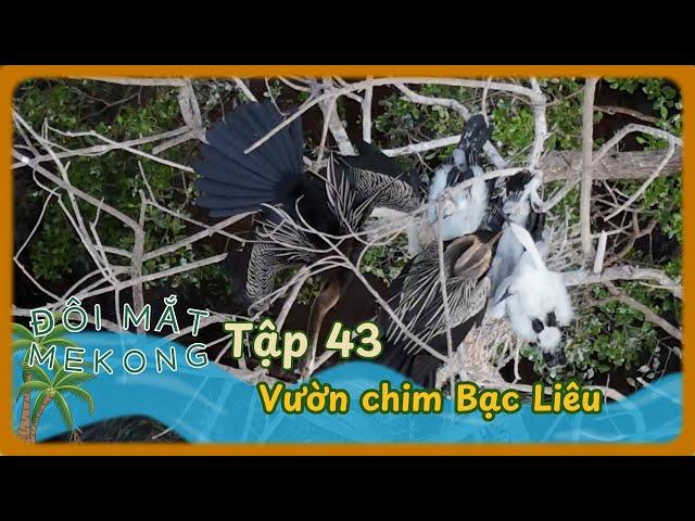 Đôi Mắt Mê Kông | Tập 43: Vườn chim Bạc Liêu