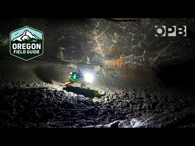 Robot ‘dogs’ explore Pacific Northwest caves | Oregon Field Guide