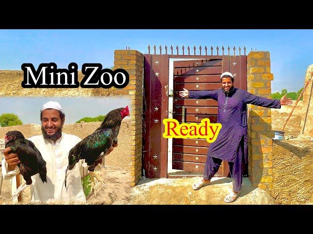 Mini Zoo Ready  Aseel Birds Bhi Ready