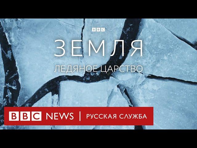 Земля | Ледяное царство | Серия 2/5 | Документальный фильм Би-би-си