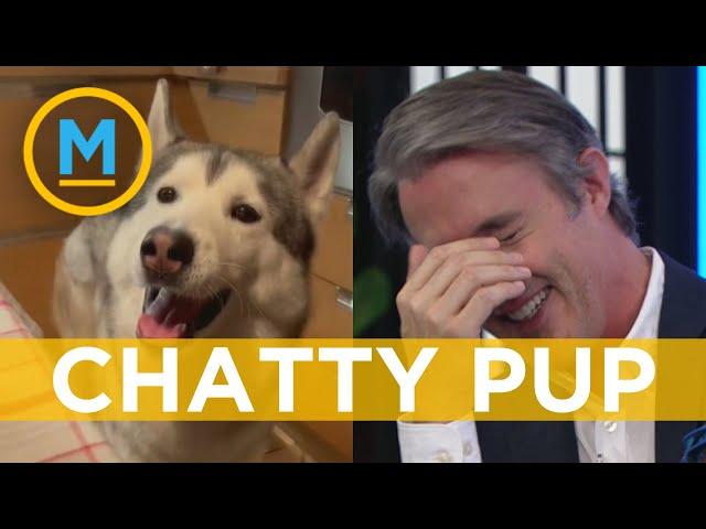 Dog who can 'talk' makes our host cry of laughter | Your Morning