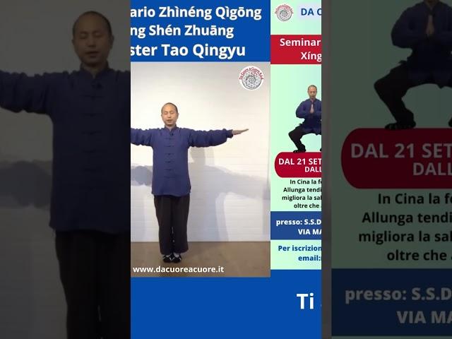 Zhineng Qigong - Xíng Shén Zhuāng - Tong Bi #zhinengqigong #xingshenzhuang