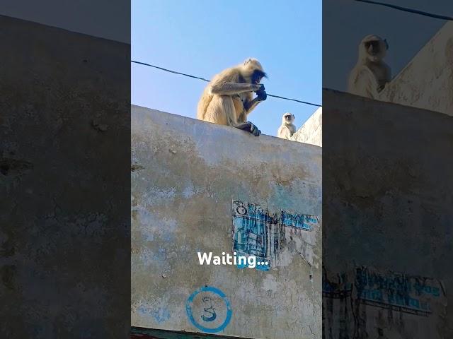 #viral