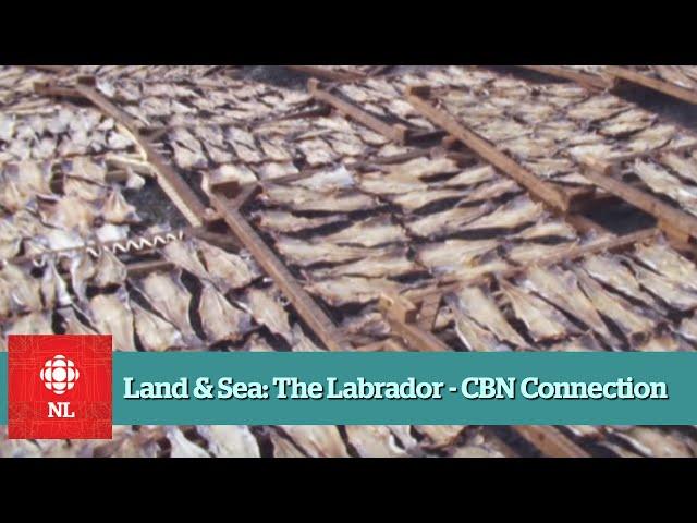 Conception Bay North fishermen on the Labrador