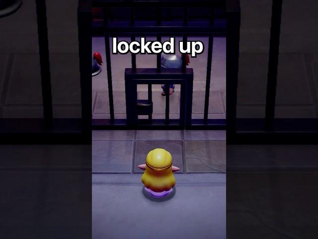 Secret Door In Echoes Of Wisdom