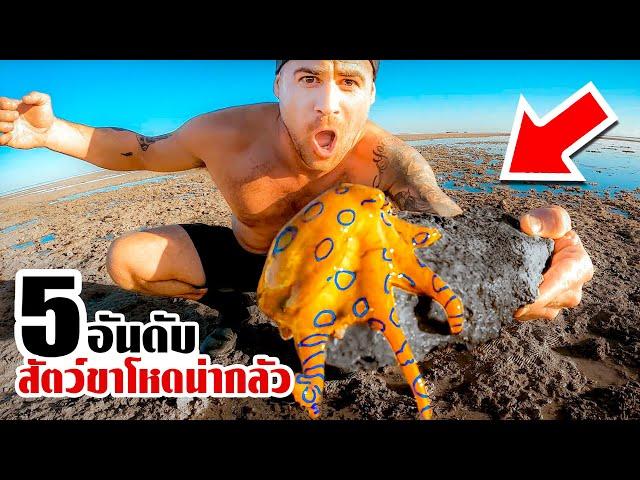 5 สัตว์ขาโหดที่คุณต้องระวังหากถูกกัด (เจอให้วิ่งหนี)